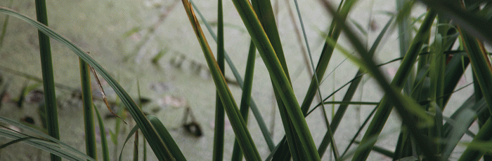 Header Bild Nummer: 1 Header Bild: